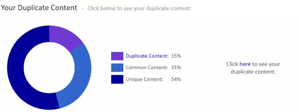 Google SEO Optimization: In-Depth Analysis of Website Content Duplication