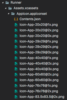 Flutter (13): Assets Management