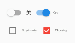 Flutter (19): Radio switches and checkboxes