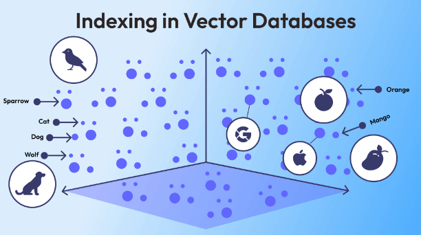 Vector Databases: A Beginner's Guide