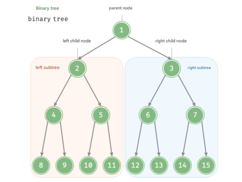 Unlocking the Charm of Binary Trees: A Detailed Explanation of Linked Implementations